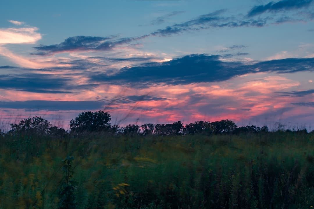 Cedar Rapids skyline